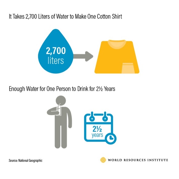 Welcome to Sustainably Styled! - Picture 6 of 6